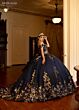 Rachel Allan RQ3145 Applique Strap Beaded Bodice Quince Dress