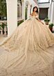 Rachel Allan RQ3146 Sheer Streamer Illusion Side Quince Dress