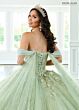 Rachel Allan RQ3146 Sheer Streamer Illusion Side Quince Dress