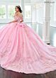 Rachel Allan RQ3149 Plunging Neck Butterfly Applique Quince Gown
