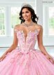 Rachel Allan RQ3149 Plunging Neck Butterfly Applique Quince Gown