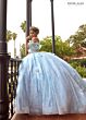 Rachel Allan RQ3149 Plunging Neck Butterfly Applique Quince Gown
