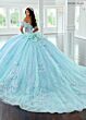 Rachel Allan RQ3149 Plunging Neck Butterfly Applique Quince Gown