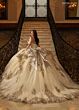 Rachel Allan RQ3172 Peak-A-Boo Neck Embellished Dress