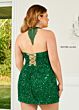 Rachel Allan 40213 Fringe Halter Sequin Dress