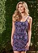 Navy Lilac