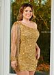 Rachel Allan 40201 Fringe Sleeve Sequin Dress