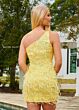Rachel Allan 40203 Feather Skirt One Shoulder Dress