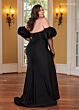 Rachel Allan 70282 Sweetheart Neck With Illusion Gloves Dress