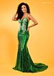 Rachel Allan 70482 Sleeve Train Sequin Dress