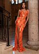 Tangerine Gold