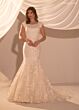 Ivory Blush
