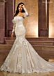 Ivory Champagne