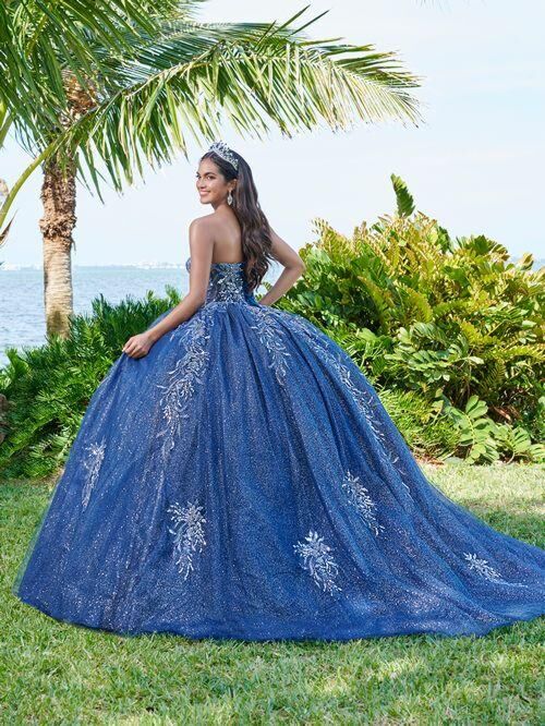 House of Wu 56495 Strapless Neck Illusion Bodice Quinceanera Dress