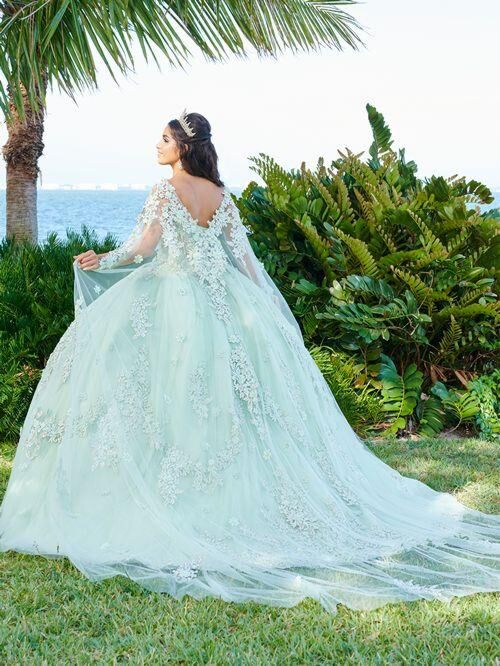 House of Wu 56498 Scoop Back Illusion Bodice Quinceanera Dress