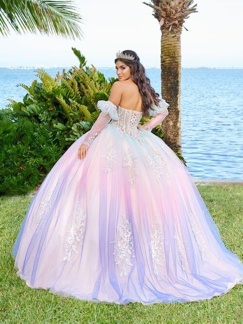 House of Wu 56499 Illusion Bodice Gauntlet Sleeve Quinceanera Gown