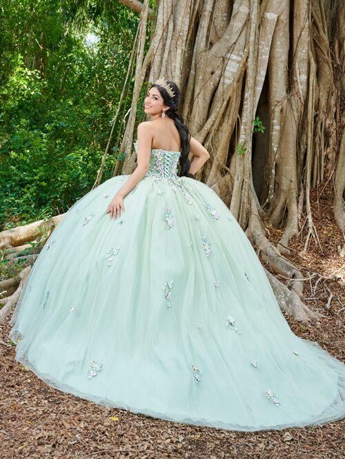 House of Wu 56500 Detached Sleeves Ruched Bodice Quinceanera Gown