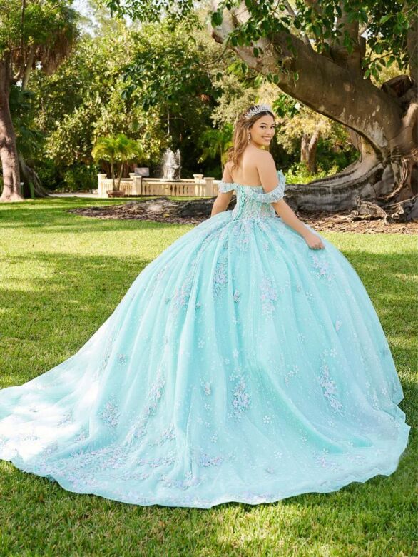 House of Wu LizLou Fiesta 56515 Corset Top Applique Quinceanera Dress