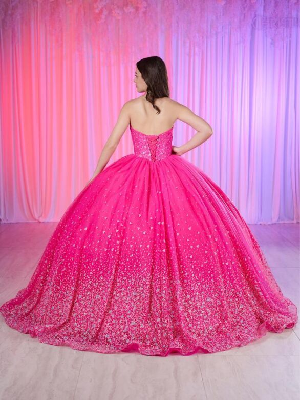 House of Wu LizLou Fiesta 56522 Strapless Sheer Bodice Sweet 16 Dress