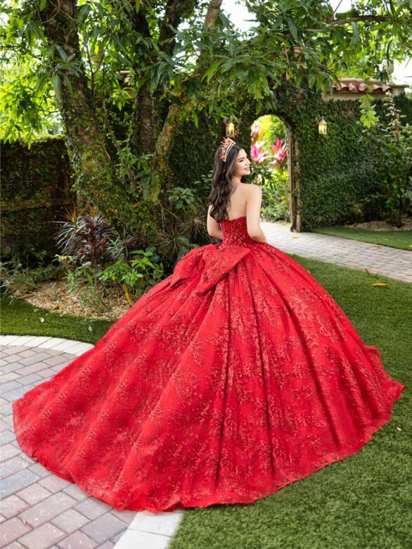 House of Wu 56527 Bow Back Sequin Bodice Quince Gown