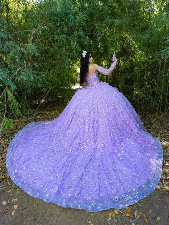 House of Wu LizLou 26085 Corset Bodice Sheer Sleeve Quinceanera Dress