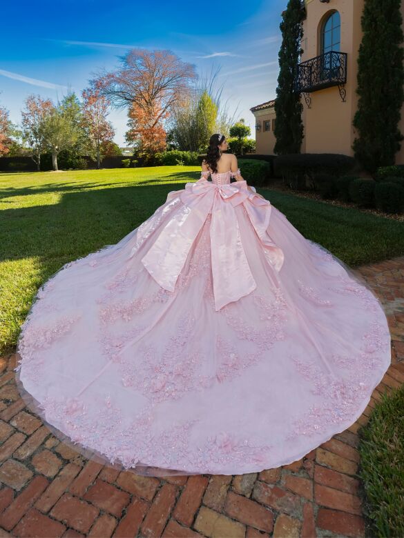 House of Wu 26140 Blush Off The Shoulder Embellished Dress