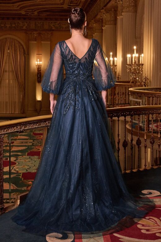 LaDivine CD0101 Sheer Sleeve Beaded A-Line Dress