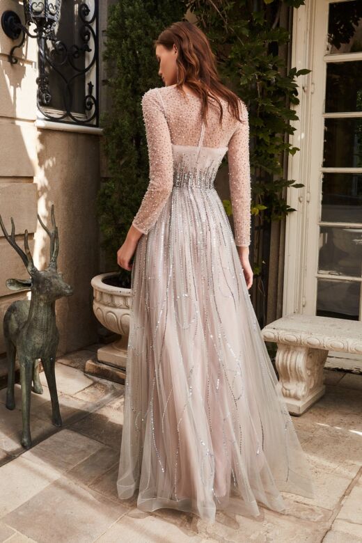 LaDivine Dress B701 Beaded Illusion Sleeve Mother Of The Bride Dress