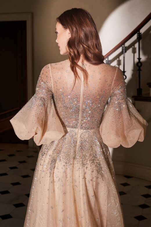 LaDivine Dress B703 Illusion Balloon Sleeve Mother Of The Bride Dress