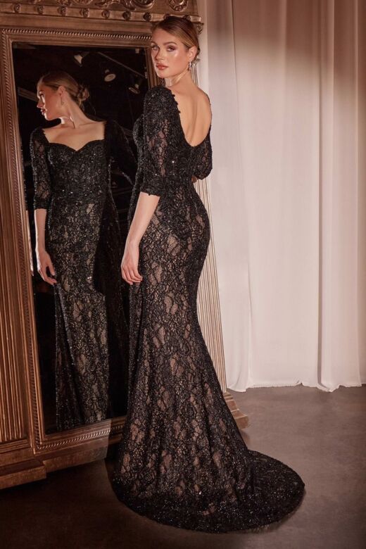 Ladivine CD749 Tulle Overskirt Queen Anne Neck Lace Dress