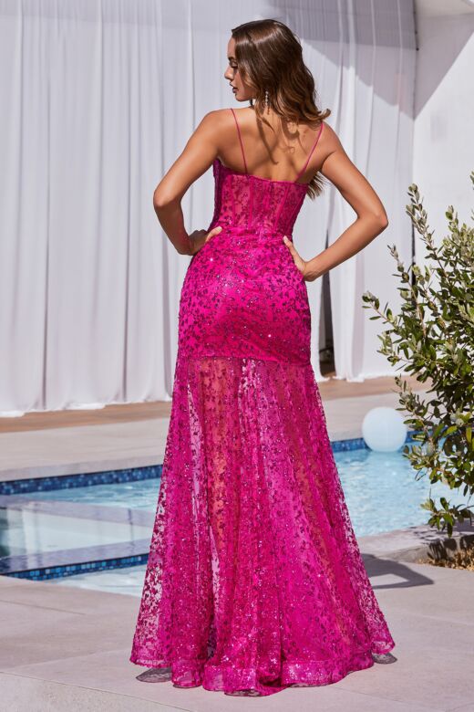 LaDivine C155 Plunging Neck Illusion Dress