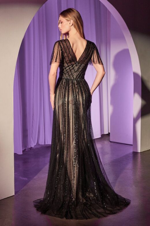 Ladivine CD0241 Surplice Bodice Butterfly Sleeve A-Line Dress