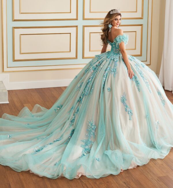 Princesa by Ariana Vara PR30174 Gauntlet Sleeve Applique Quince Dress