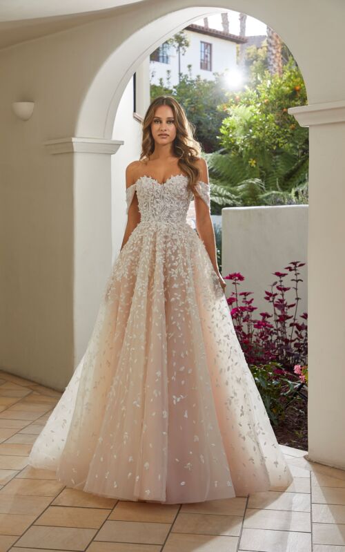 Ivory/Champagne/Blush/Honey