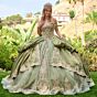 Elizabeth K GL3810 Quinceanera Dress
