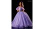 Rachel Allan 10344 Cold-Shoulder Feather Sleeve Beaded Dress