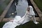 Willowby 55108 Isadora with Hood Wedding Dress