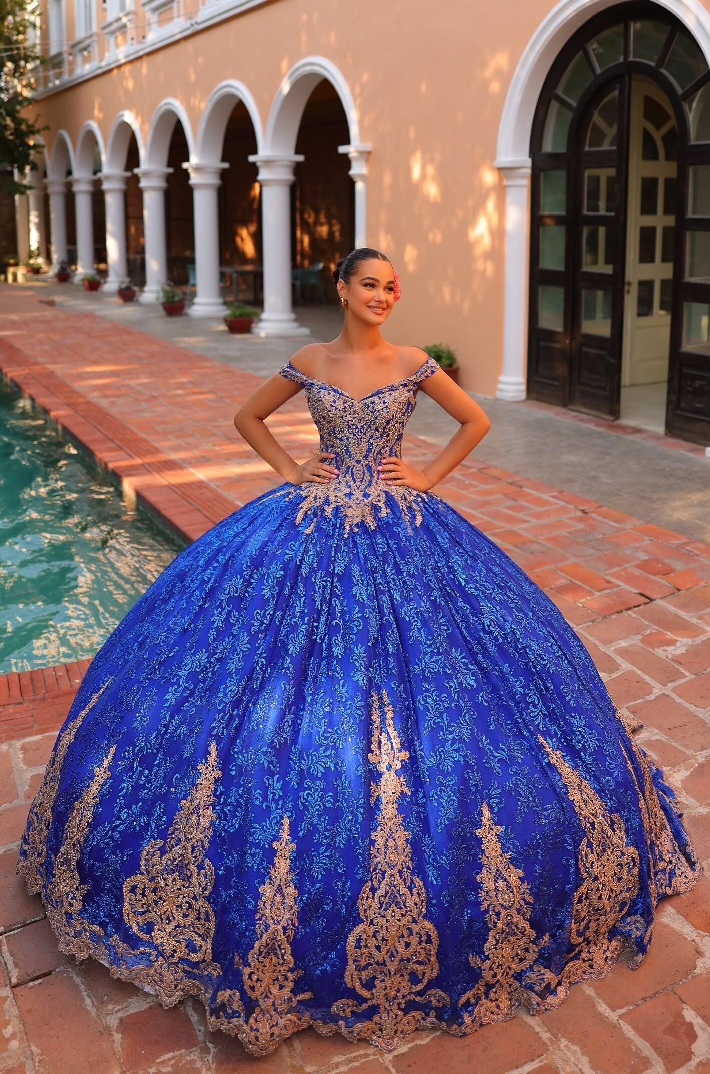Sweetheart Blue Organza Ball Gown Gold Lace Tulle Quinceanera Dress Ld15217  - China Evening Dress and Quinceanera Dresses price | Made-in-China.com
