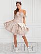 Blush/Champagne