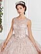 House of Wu 26942 Embroidered Quinceanera Dress