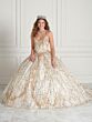 Ivory/Gold