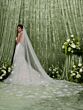 Adrianna Papell 31352 Halter Neckline Backless Wedding Dress
