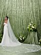 Adrianna Papell 31355 Sweep Train Off The Shoulder Wedding Dress