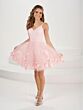 Blush Pink