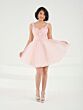 Blush Pink