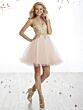 Rose Pink/Gold