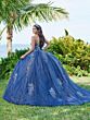 House of Wu 56495 Strapless Neck Illusion Bodice Quinceanera Dress