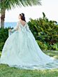 House of Wu 56498 Scoop Back Illusion Bodice Quinceanera Dress