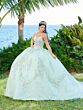 House of Wu 56498 Scoop Back Illusion Bodice Quinceanera Dress