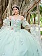 House of Wu 56500 Detached Sleeves Ruched Bodice Quinceanera Gown